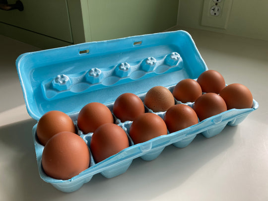 Fresh brown eggs